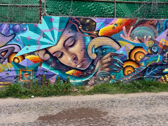 Guadalupe Street Art