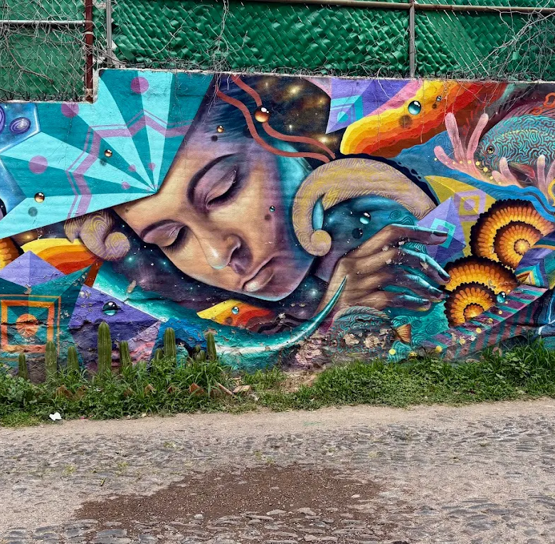 Guadalupe Street Art