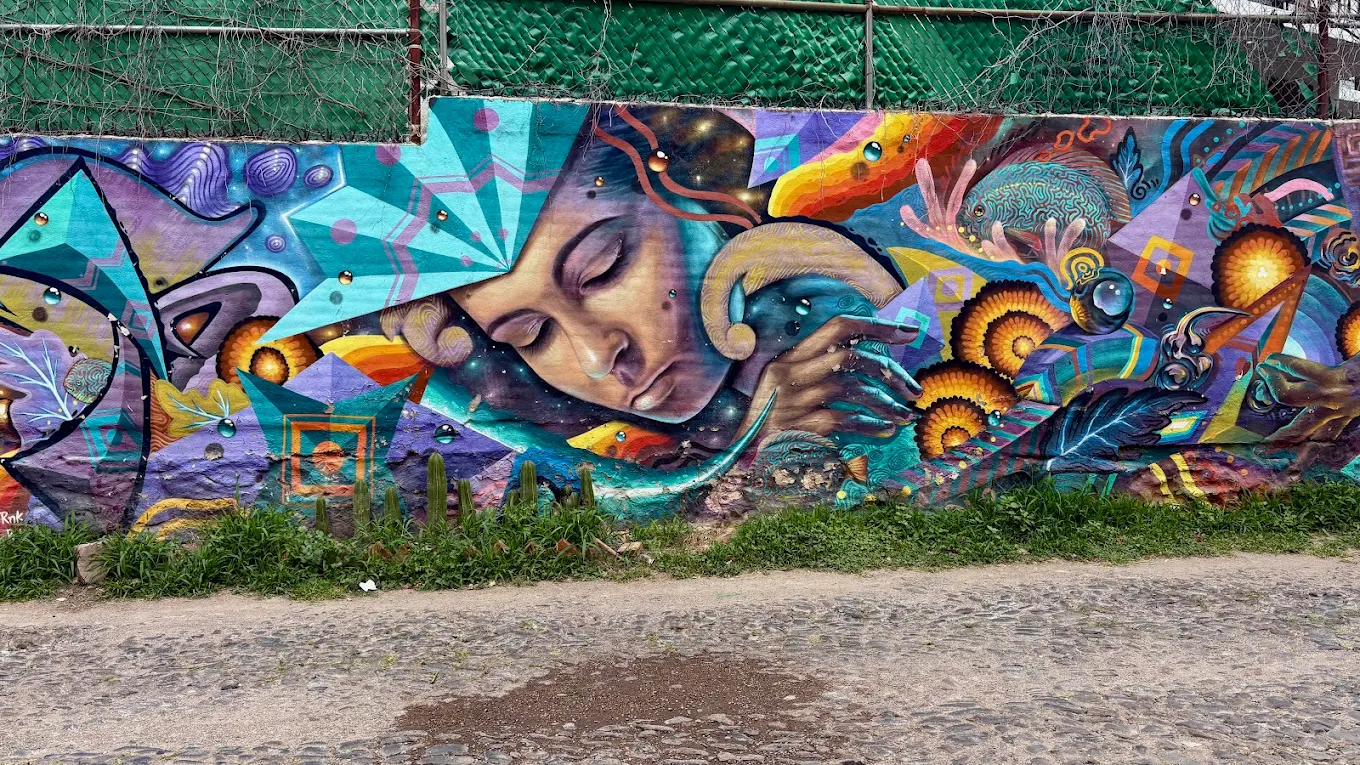 Guadalupe Street Art